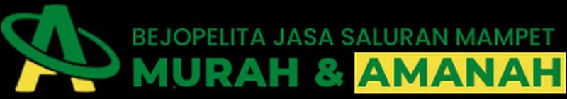 Bejopelita jasa saluran mampet Depok